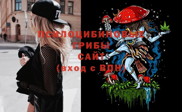 гашик Белокуриха