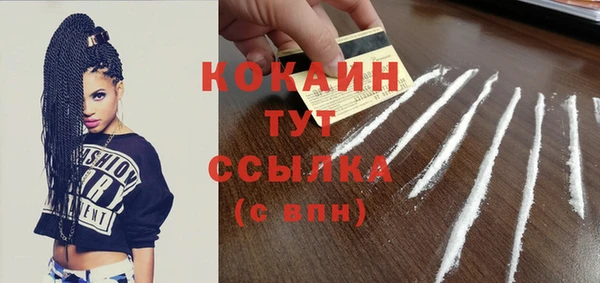 гашик Белокуриха